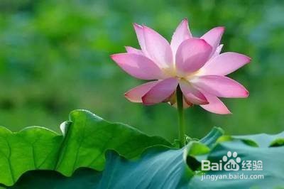 积极有效的道德修养方法