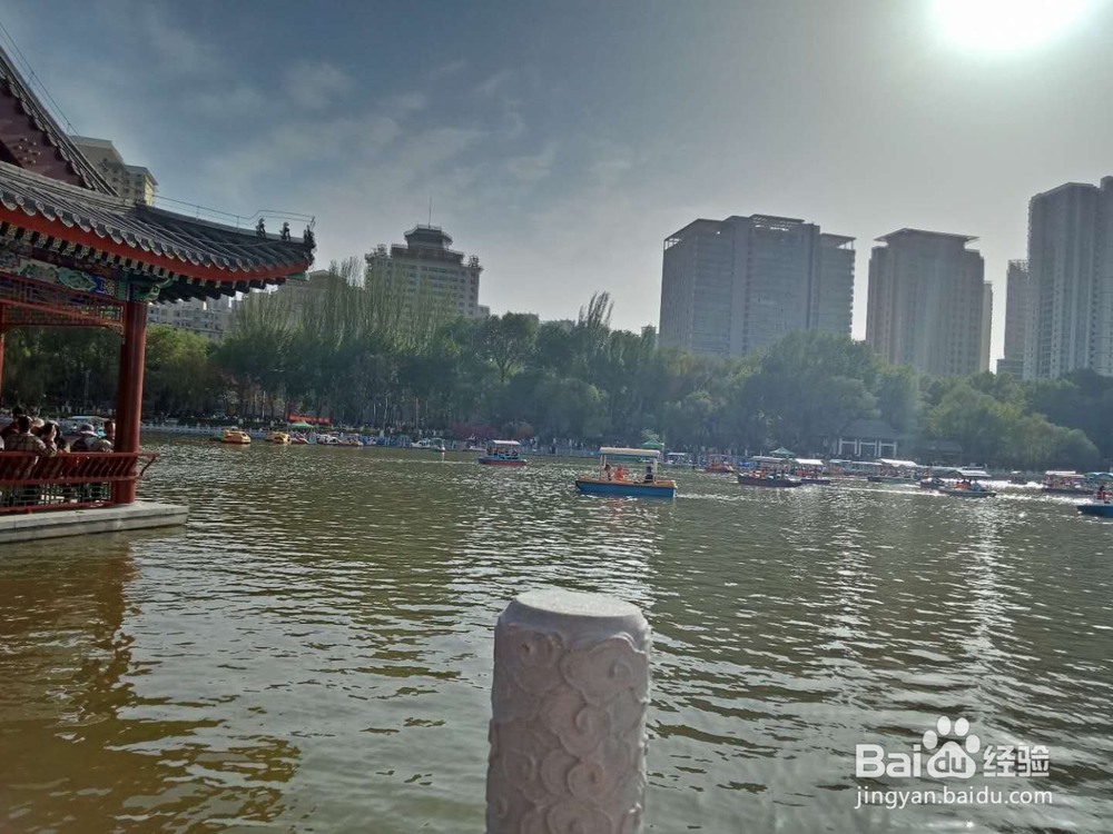 西宁人的春天，西宁人的人民公园。