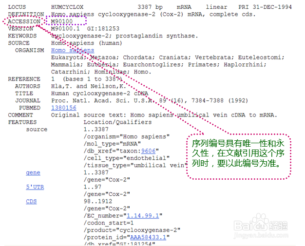 如何看懂GenBank数据库的序列文件？