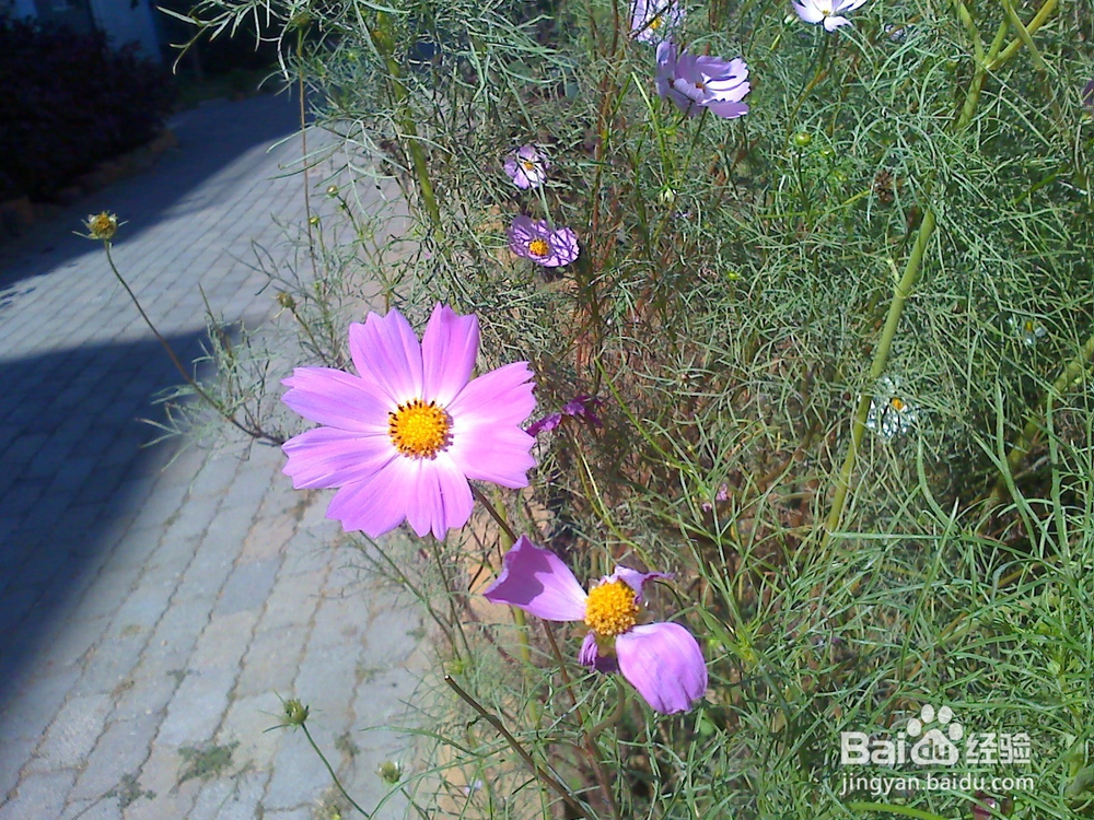 读书的好处---13