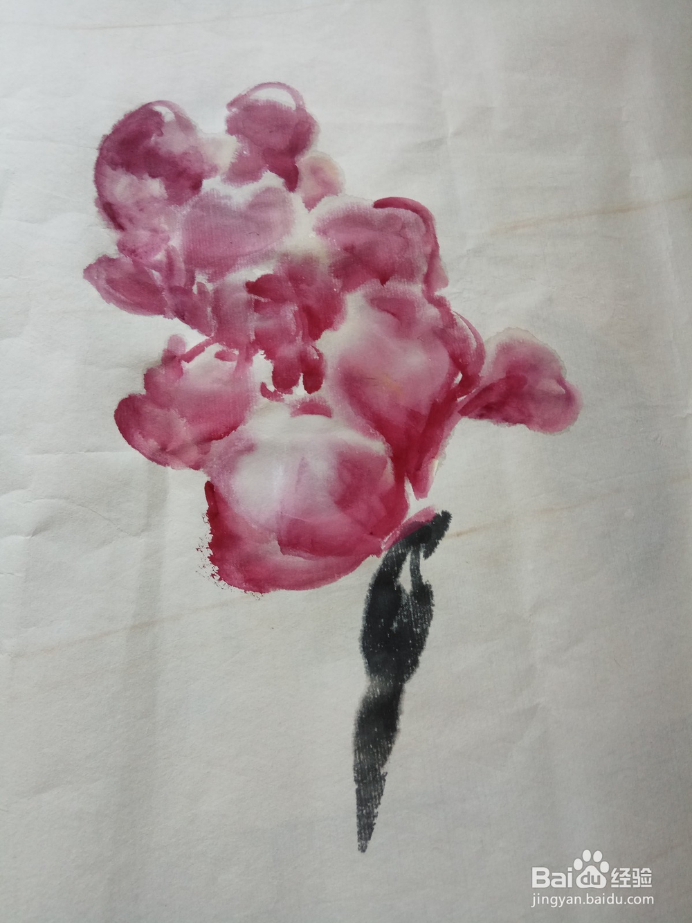 半开折枝牡丹的写意画法