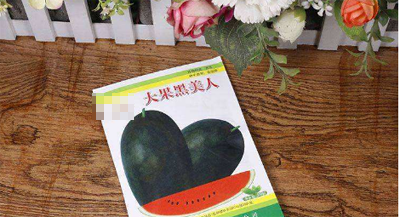 如何提高西瓜种子的发芽率