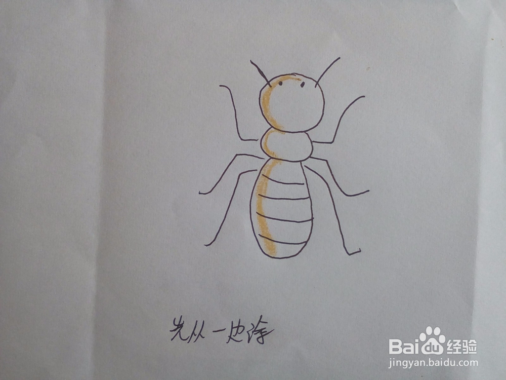 一步一步学简笔画116