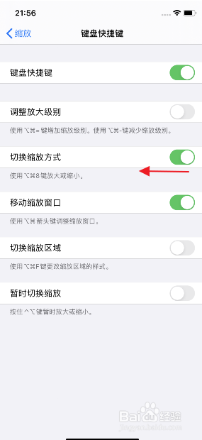 iphone11怎么关闭切换缩放方式