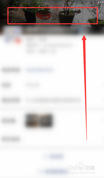 怎么看好友的微信视频动态