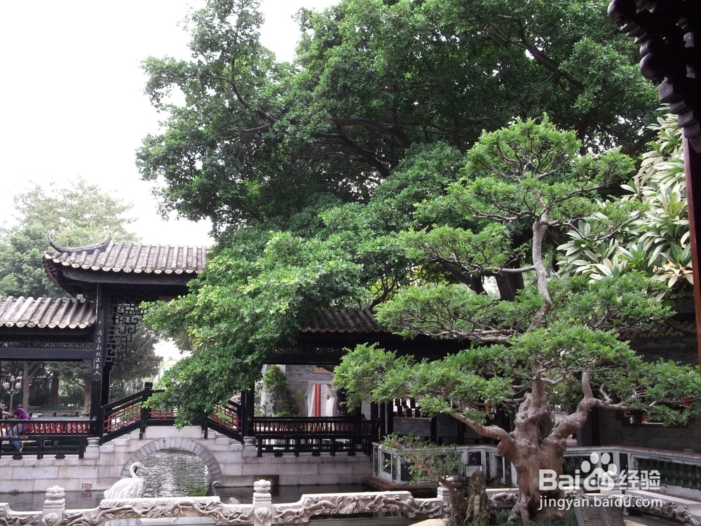 如何在旅游中品尝美食