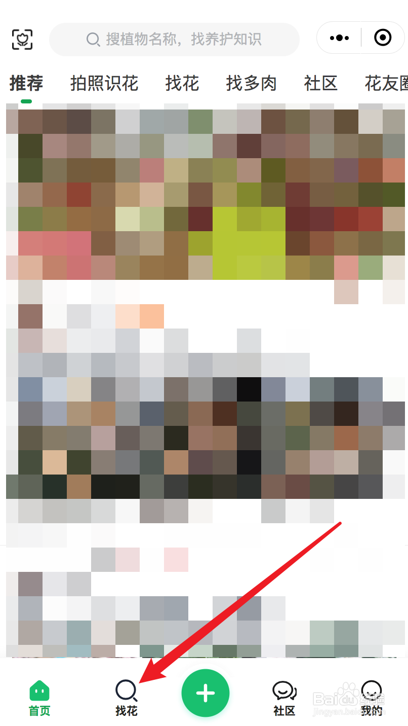 栀子花如何修剪