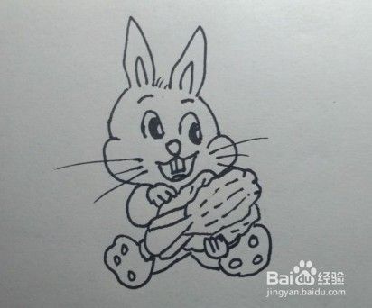 儿童简笔画：吃青菜的小兔子