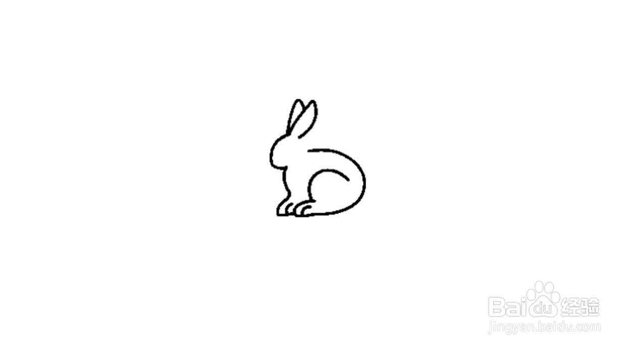 家兔简笔画画法分解