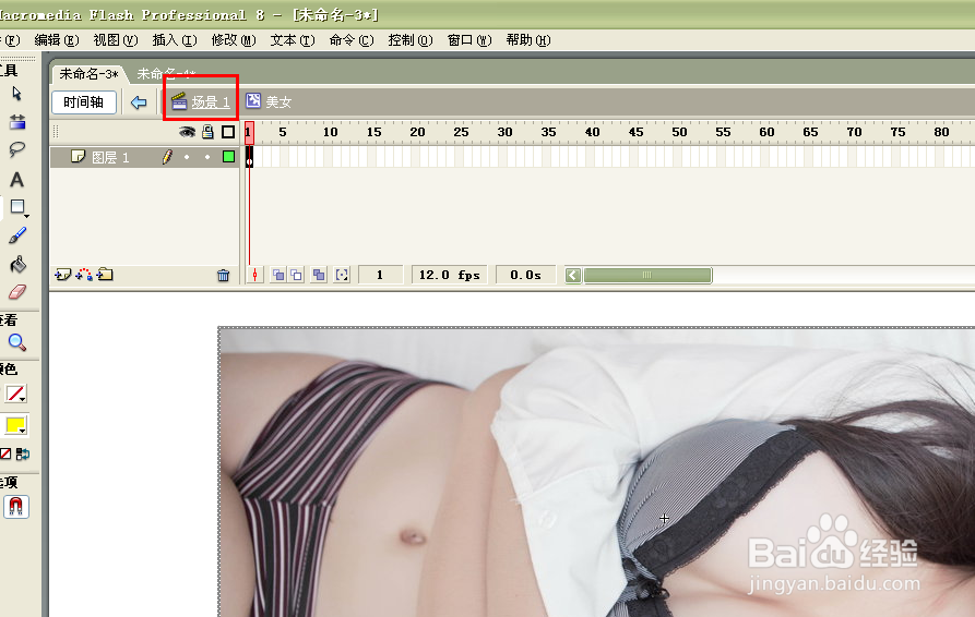 Flash入门实例：[3]如何制作美女显示镜动画