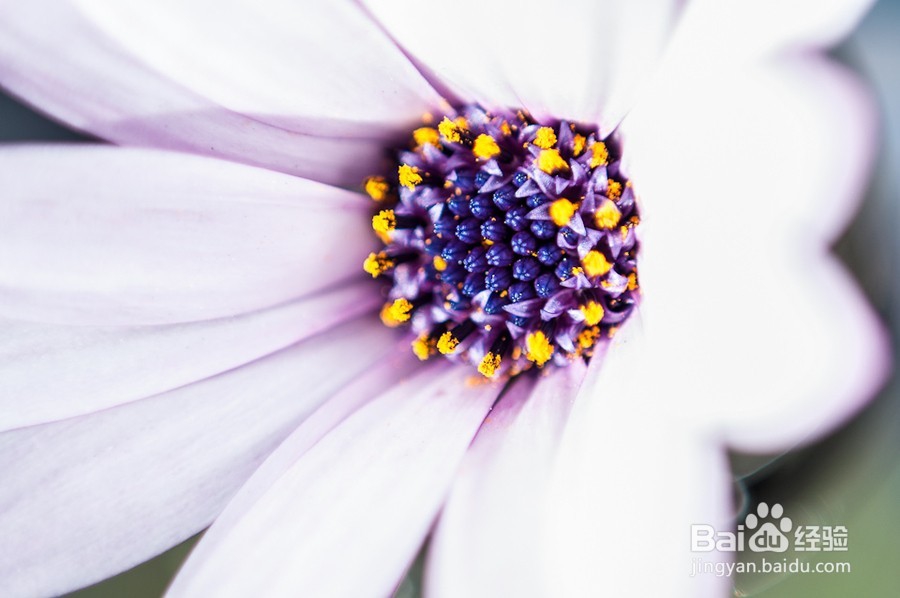 如何立即摆脱恐惧