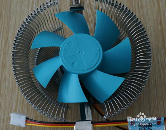 电脑经常死机有哪些原因