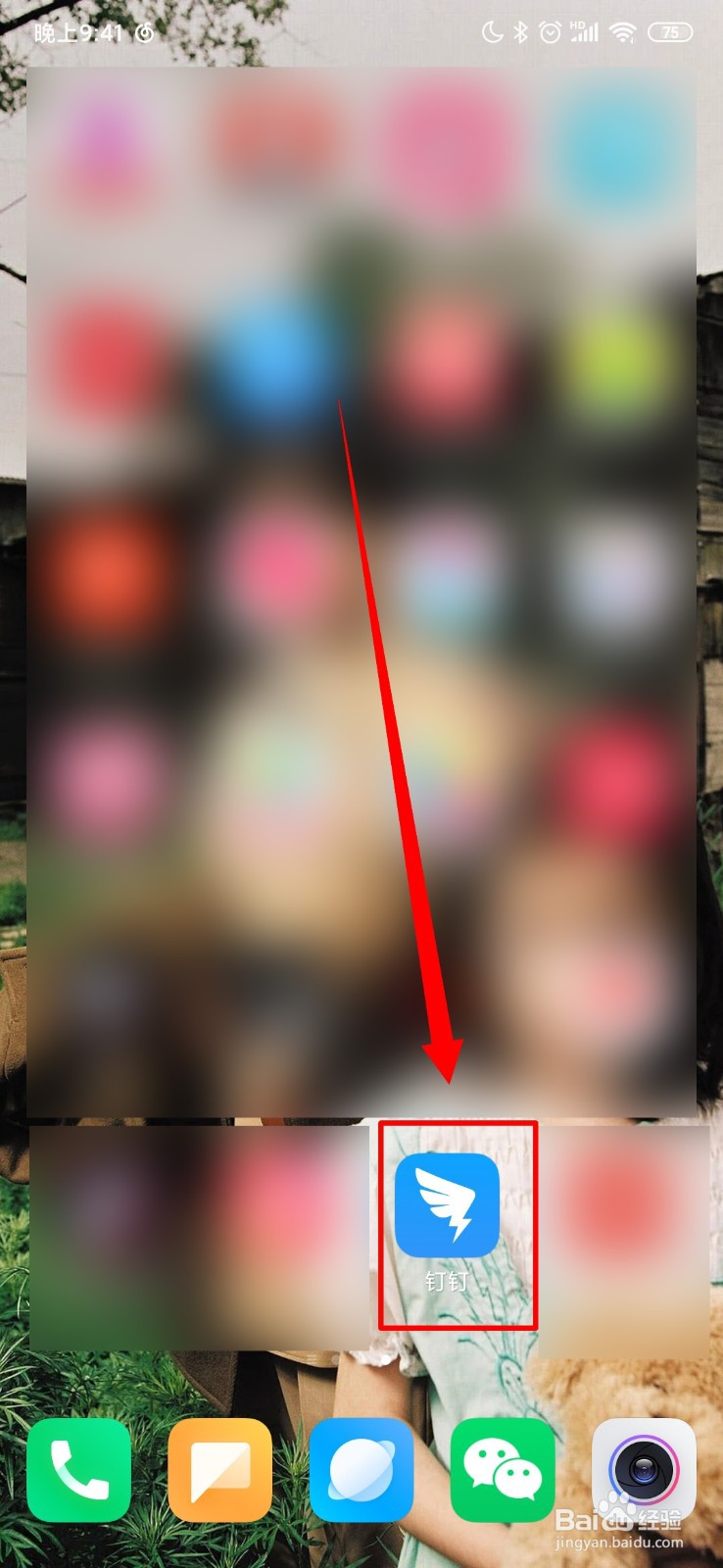 钉钉怎么查看我的信息