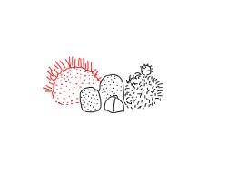 仙人球系列盆栽怎么画