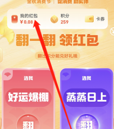 支付宝金秋消费节优惠券怎么用