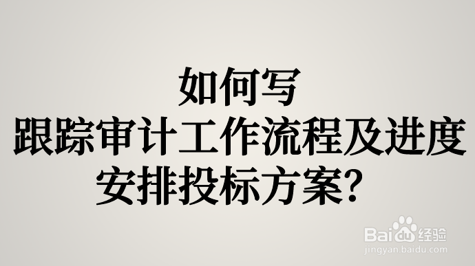 如何写跟踪审计工作流程及进度安排投标方案？