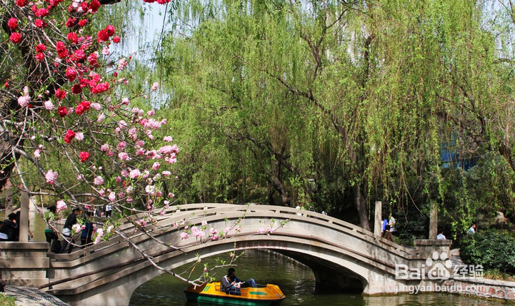 郑州旅游攻略(一)