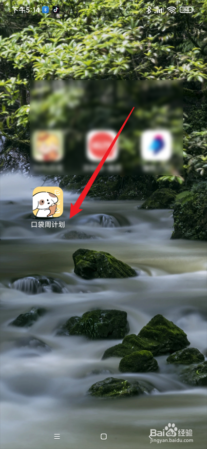 口袋周计划app在哪查看任务中心