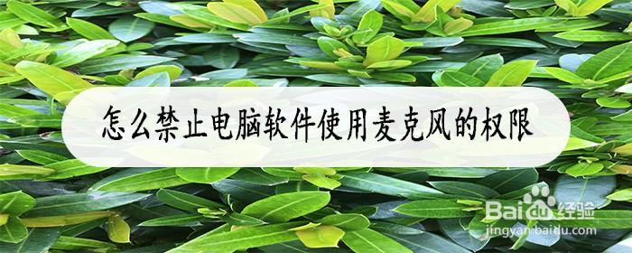 <b>怎么禁止电脑软件使用麦克风的权限</b>