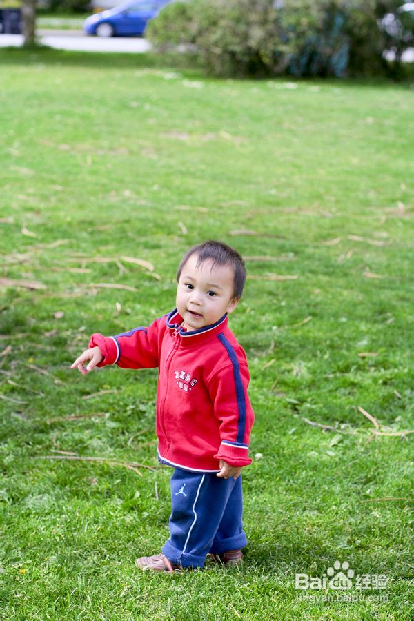 都是手机惹的祸（组图）