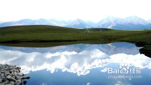 天山深处的绿岛那拉提游记攻略