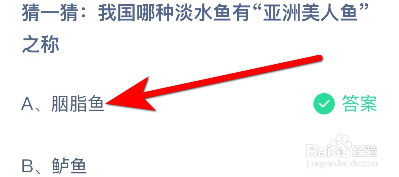 蚂蚁庄园答案我国哪种淡水鱼有亚洲美人鱼之称