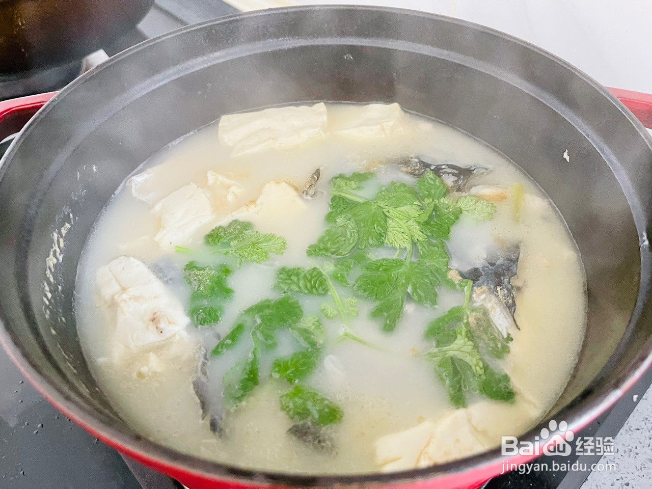 汤鲜味美的鱼头豆腐汤的做法