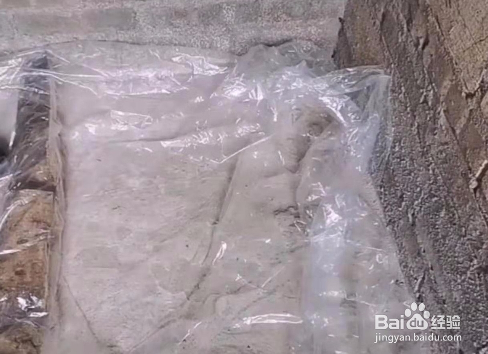 用稻草发平菇快速发菌秘诀与方法