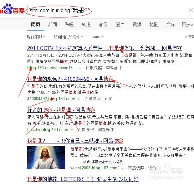 高级搜索引擎使用