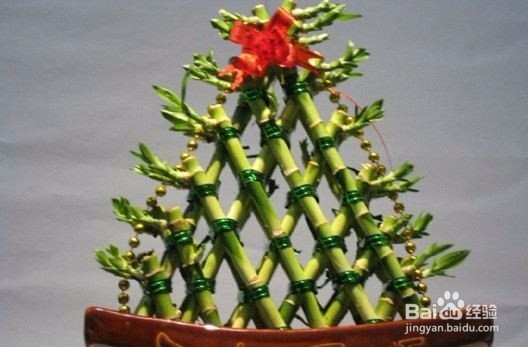 如何保护植物发明