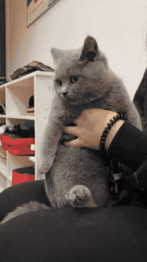 光遇办公室现在怎么进