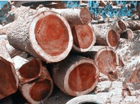 小叶紫檀的鉴别方法(真假小叶紫檀的鉴别)