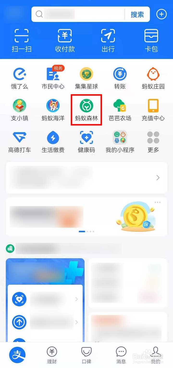 如何在蚂蚁森林和好友互测森林人格