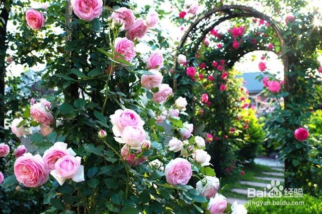 2018年西溪花朝节攻略