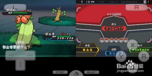 口袋妖怪黑2学习装置图片