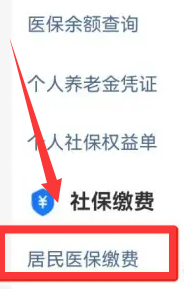 河南医保怎么在手机上缴费