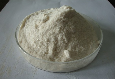 吲哚丁酸是植物激素吗