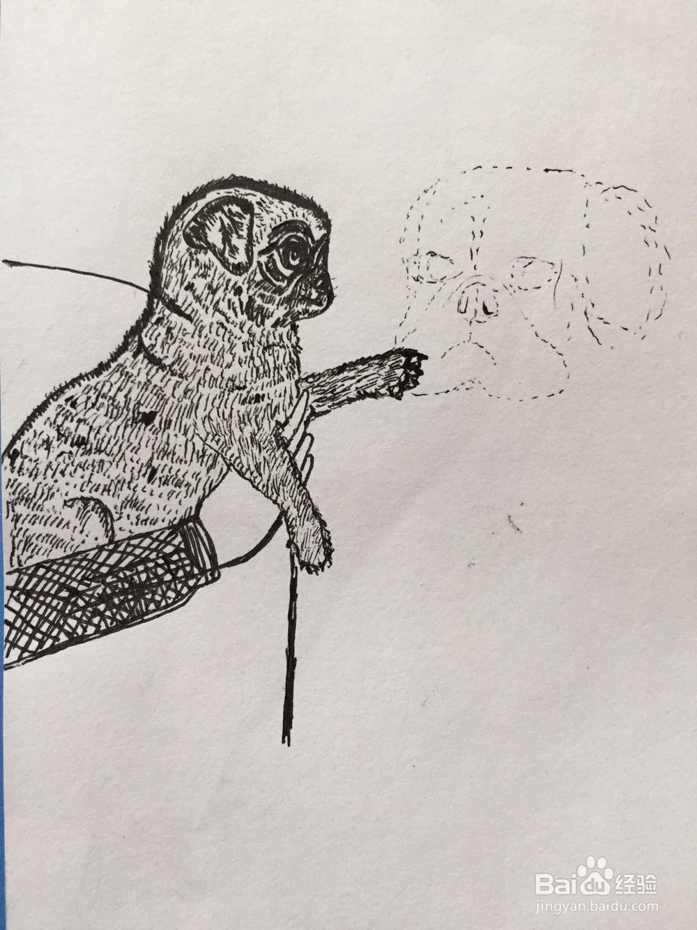 dxdll手绘之小狗