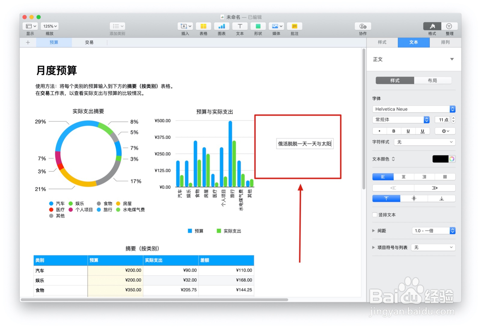 Numbers表格“个人预算”模板中如何插入文本