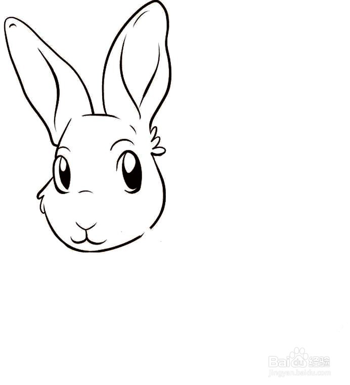 画上准的兔子嘴