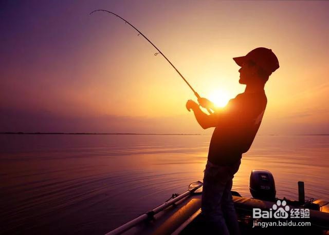 路亚钓鳜鱼技巧