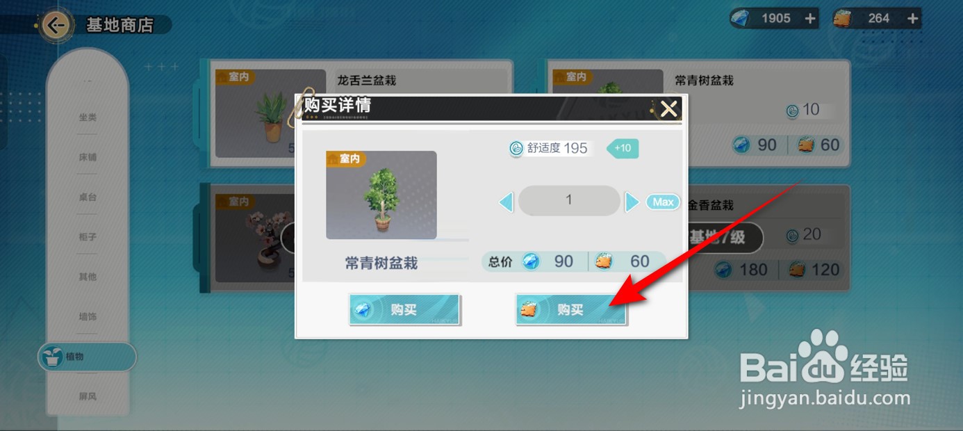 排球少年新的征程如何获得常青树盆栽