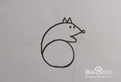 绘画启蒙：松鼠的简单画法。