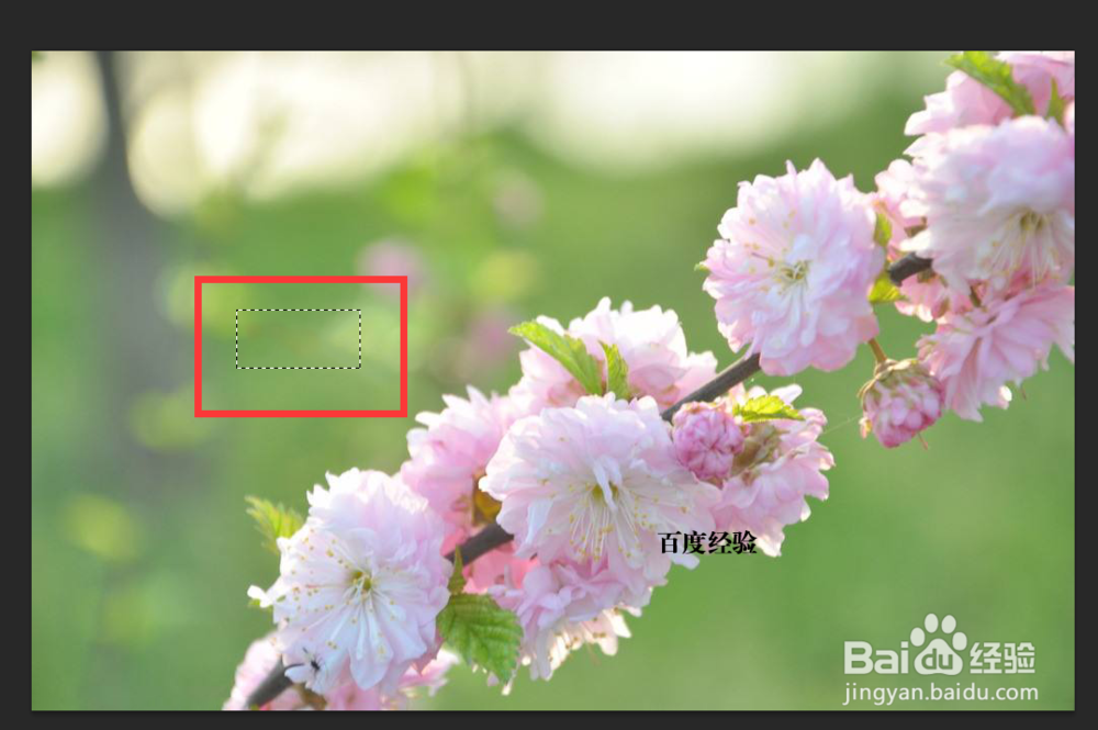 PS如何快速去除图片水印