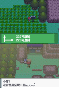 口袋妖怪钻石二周目图文攻略