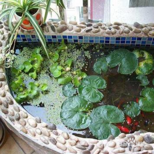 阳台鱼池防水施工步骤