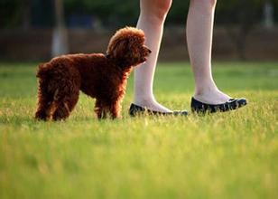 学生党减肥的有效方法