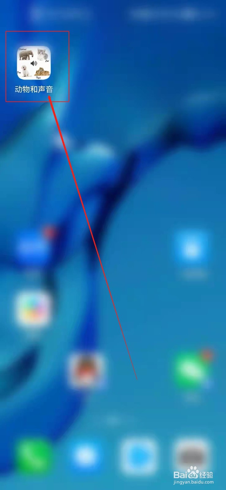 如何观察小动物？