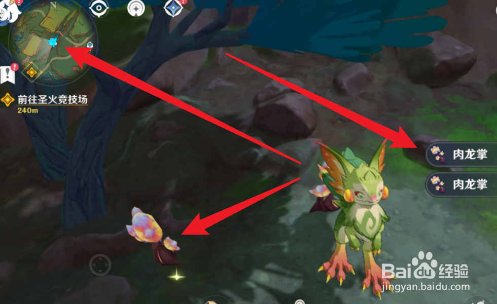 原神怎么获得肉龙掌
