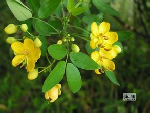 女性有便意却拉不出来怎么办?